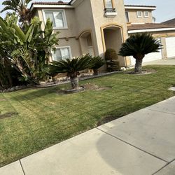 Landscaper