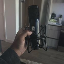Slate Digital Mic