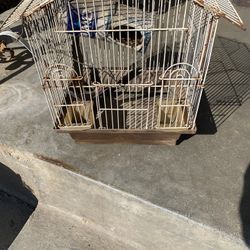 Bird Cage It Needs Clean Up Very Cute