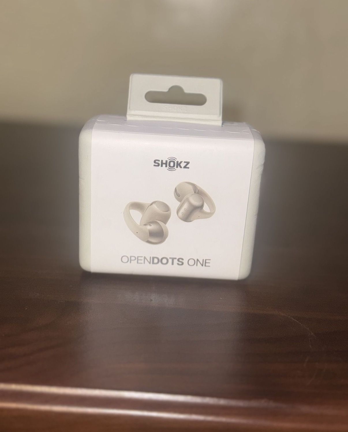 Shokz OpenDots One (color: Grey)