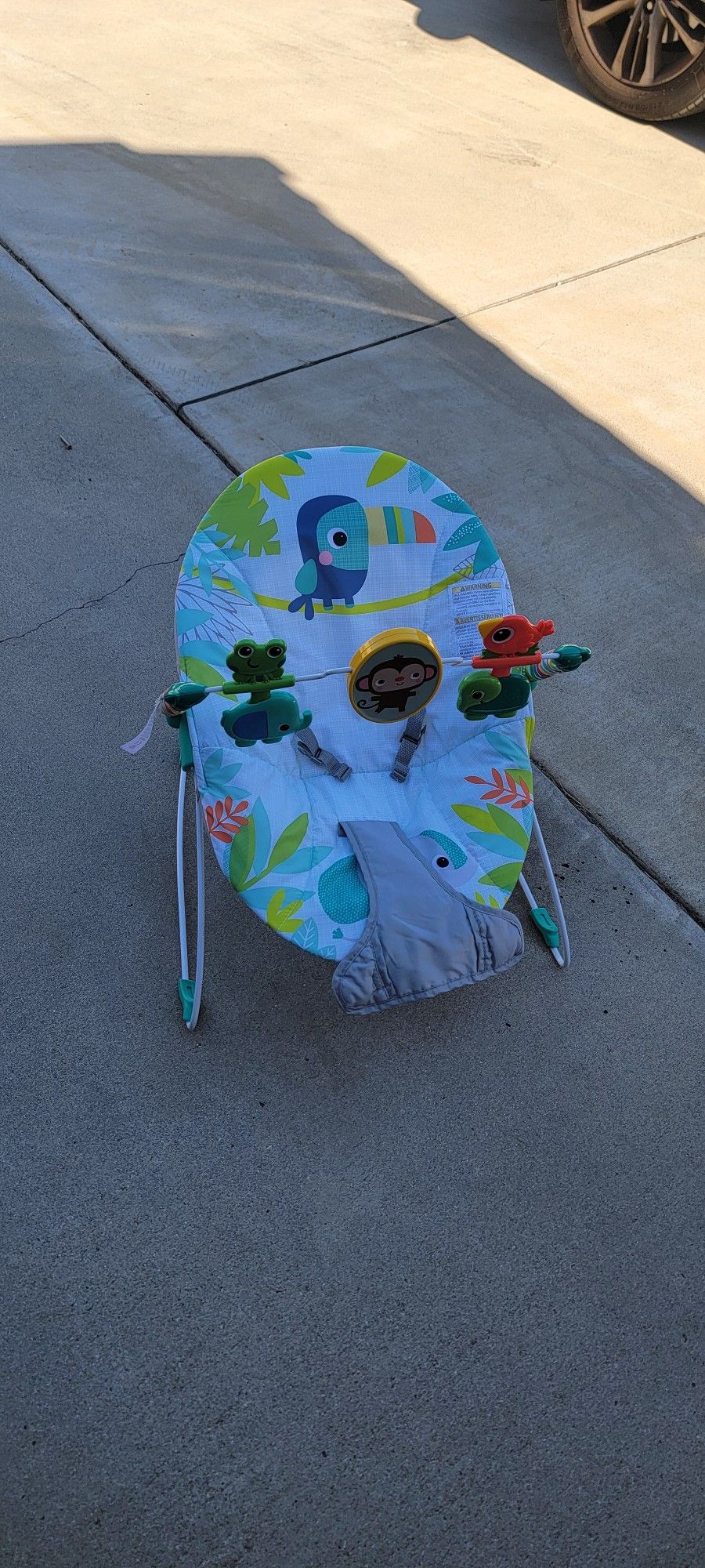 Infant Bouncer