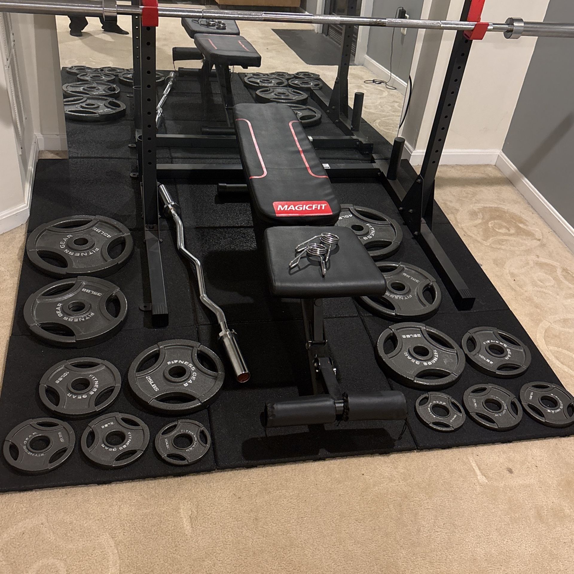 free weights, bench, rack, and curl bar