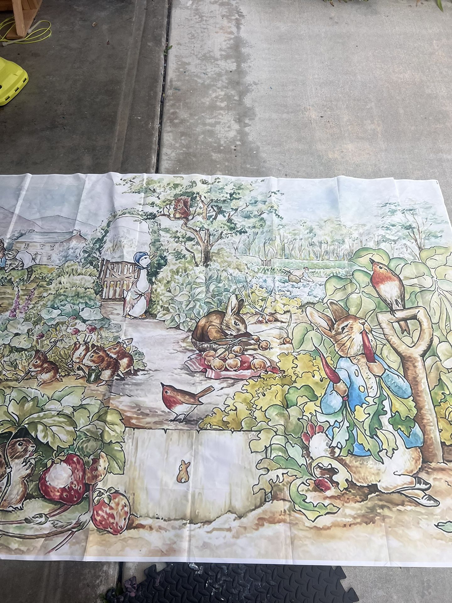 5x7 Peter Rabbit Backdrop