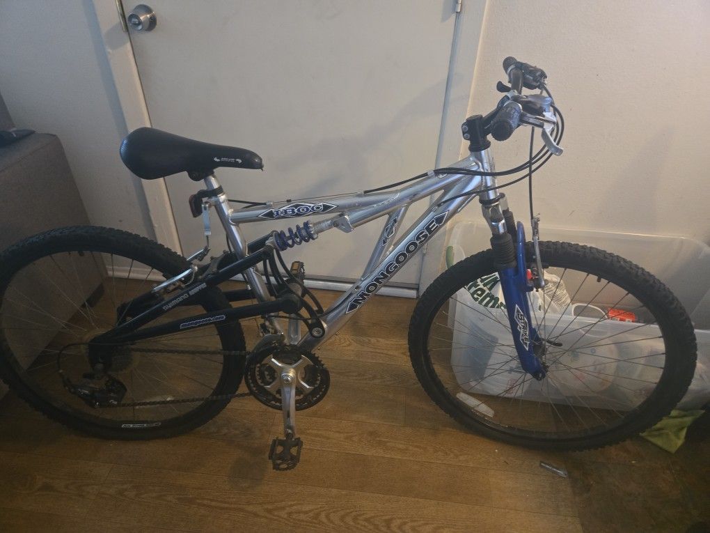 Adult Bike