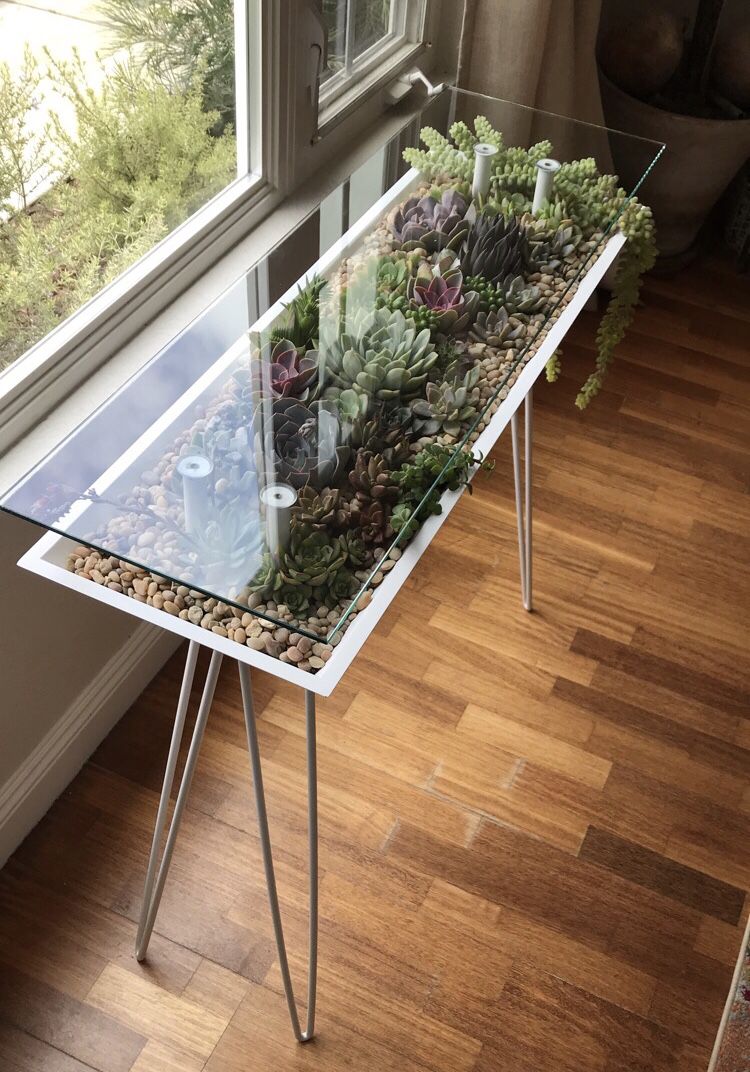 BloomingTables - Console table for entryways - Succulents & Micro Greens