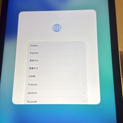iPad