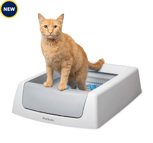 Brand New ScoopFree Litter Box