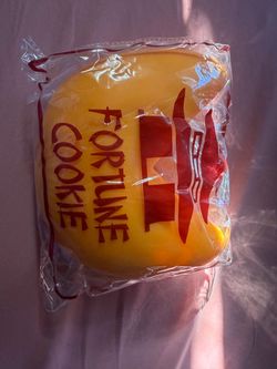 Jumbo Fortune Cookie squishy