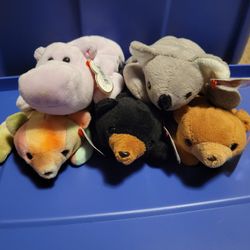 Beanie Babies