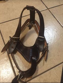 Dog Harness / pechera