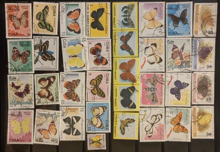 New Stamp Collection