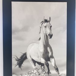 2Wall Decor Horsey Pictures 22x30