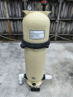 Pent-Air  Clean  and Clear cartridge filter
