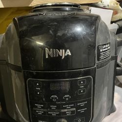 Ninja Air Fryer 