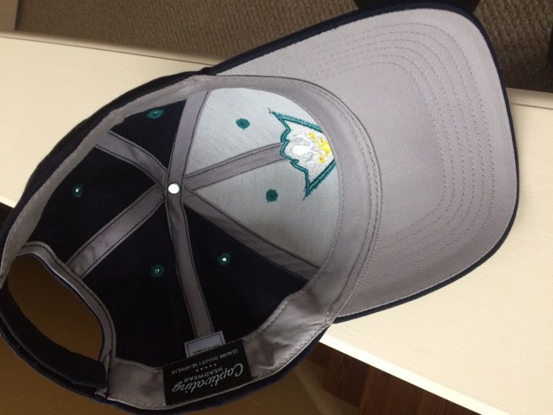 Buy UNCW Baseball Hat University of North Carolina Wilmington