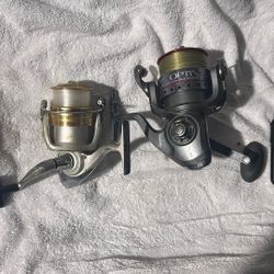 Reels And Line