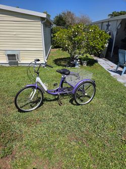 Schwinn adult tricycle