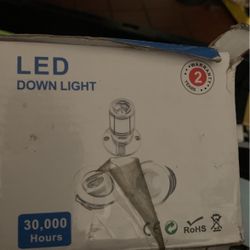 Led Down Lights