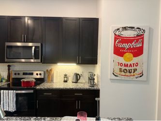 Campbells Large Pop Art 🍅Tomato Soup Can  Canvas 40x26" Geometric Wall Art Pickup South Austin
