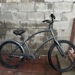Adult Bike 