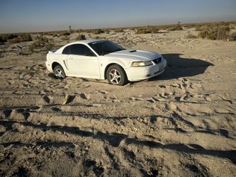 2000 Ford Mustang