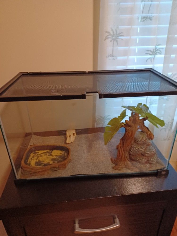 Reptiles Lizard Thank