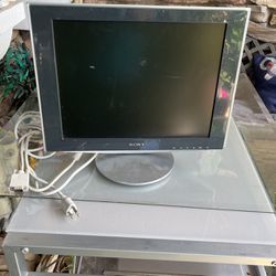 Sony Computer Screen