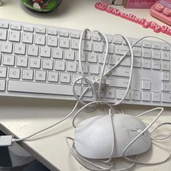 Keyboard and mouse