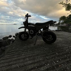 burro max for sale tt1600