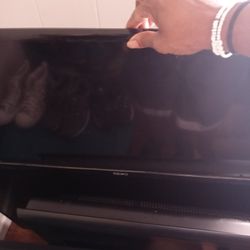 I have 4 t.v.s That has broken screen All Of Them Come. On