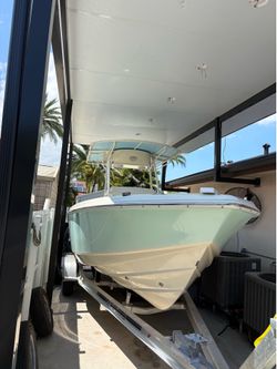 Boat - Bring Back The Shine!