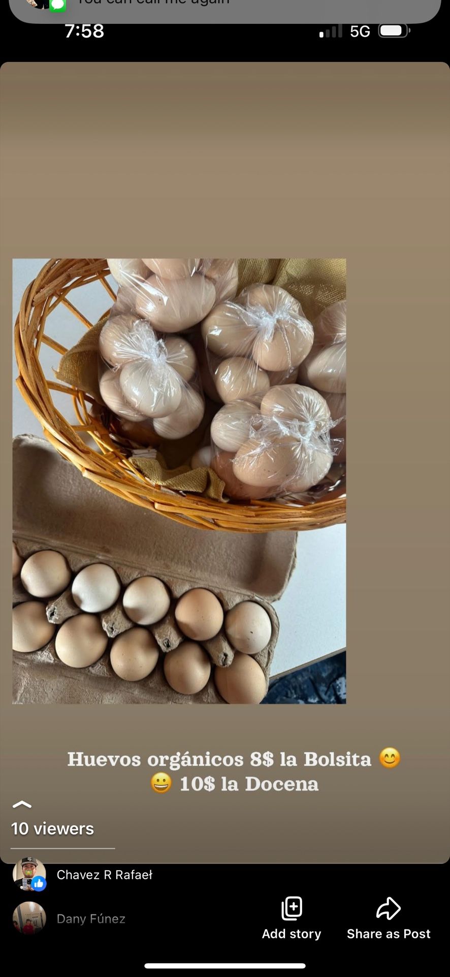 Fresh Organic Eggs