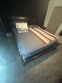 Platform Bed