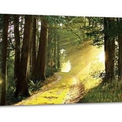 24" x 36" Landscape Forest Morning Sunshine Green Trees Framed Canvas Print Wall Art Decor 