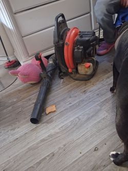 Echo blower