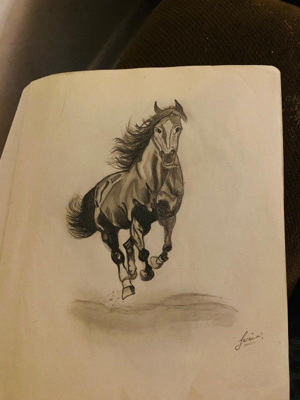 Horse Sketch
