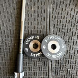ROGUE Mace Bell  with 10lbs bumper plates weights 
