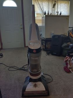 Hoover Wind tunnel Rewind Pet