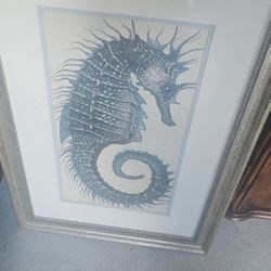 Seahorse Print Framed