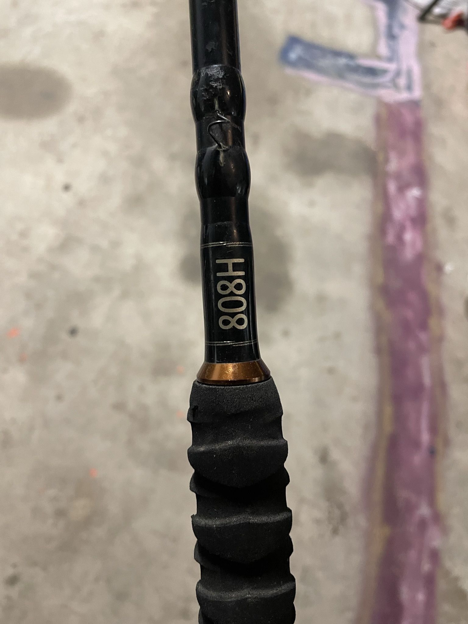 Swimbait Rod (custom)