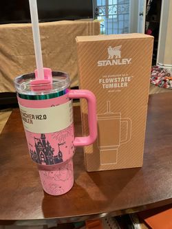 Stanley Quencher H2.0 FlowState 40oz Tumbler – Disney Princess