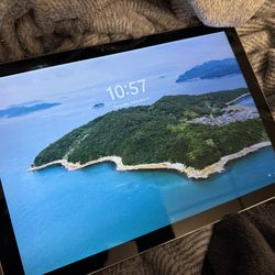 Microsoft Surface Pro 4; 256 GB, 8 GB RAM, Intel Core i5