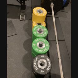 Pair Of Rogue Db-15 Loadable Dumbbells With  Rogue OSO Aluminum Collars And 6 Pairs Of Specialty Rogue Dumbbell Bumpers - Retails For Over $1600