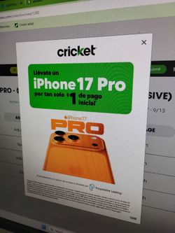 17 pro max