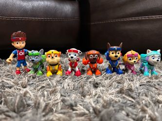 Paw patrol