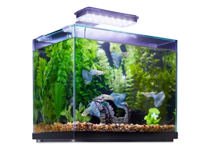 Aquatic Fish Decorations 