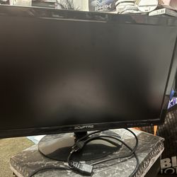 Sceptre 24 Inch 75Hz 1080p LED Monitor with Build-in Speakers HDMI VGA Ports Black 2019 (E248W-1920