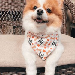 Valentine Pet Bandana 