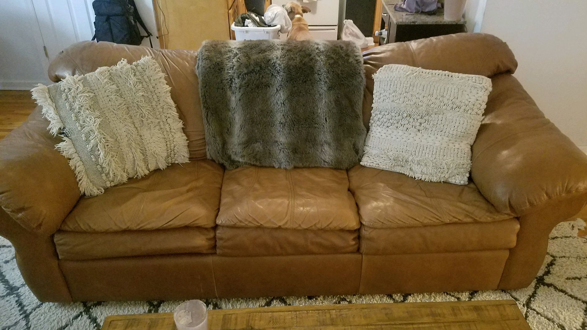 Leather Couch and Love Seat