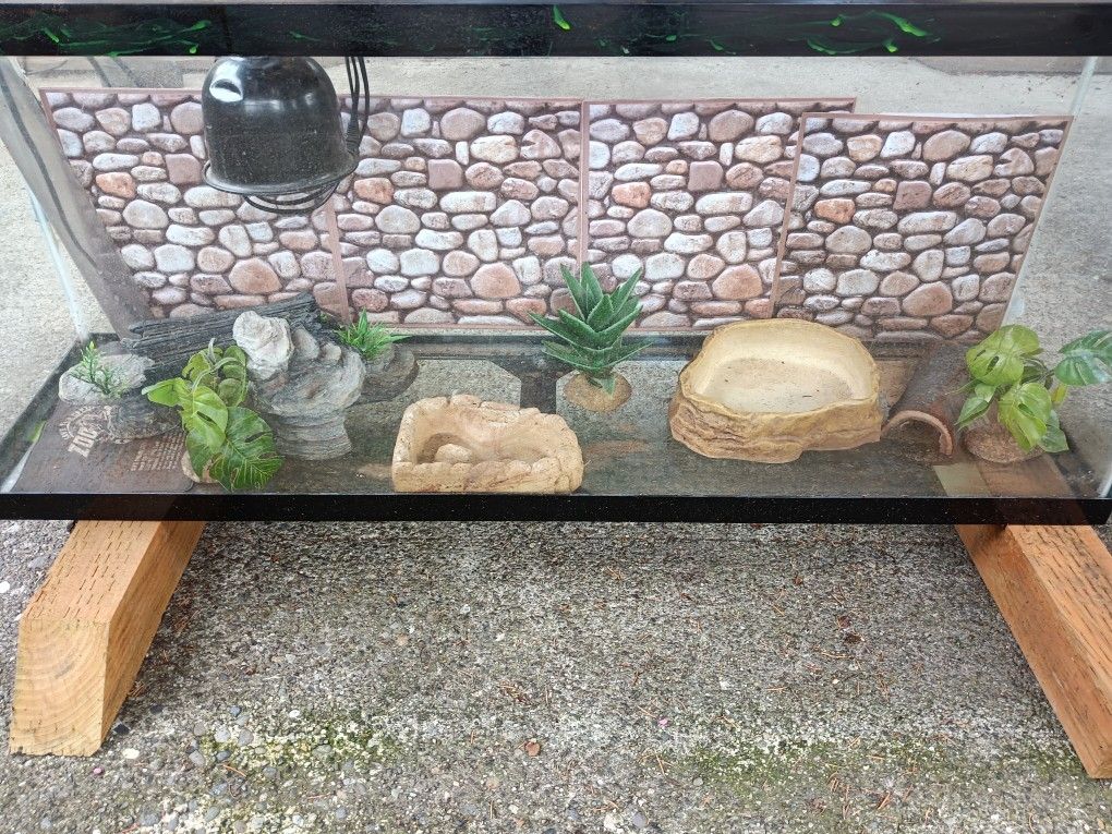 Gecko (small reptile) habitat